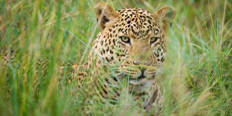 Pololeti_Game_Reserve_003