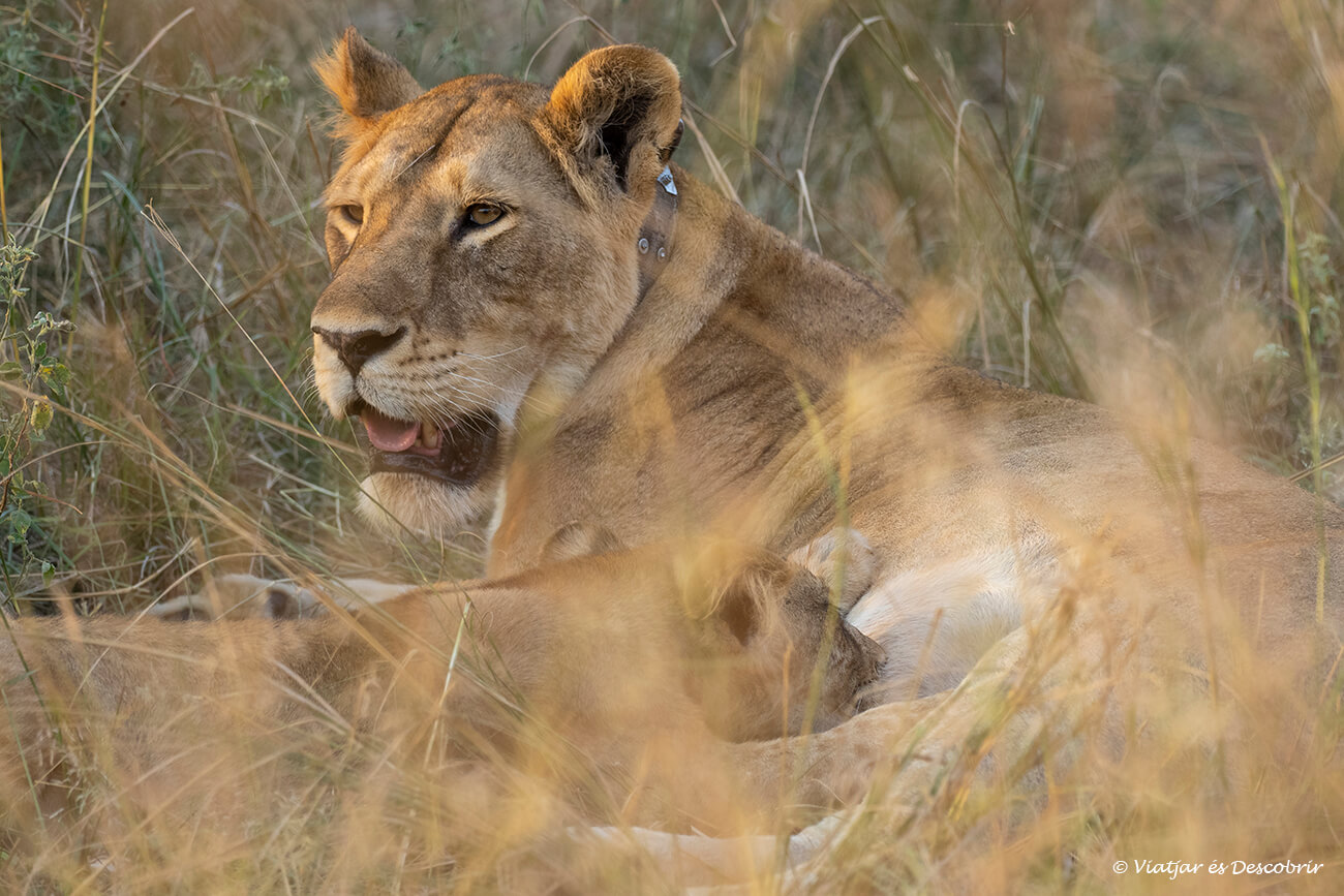 consejos-seguro-viajar-uganda